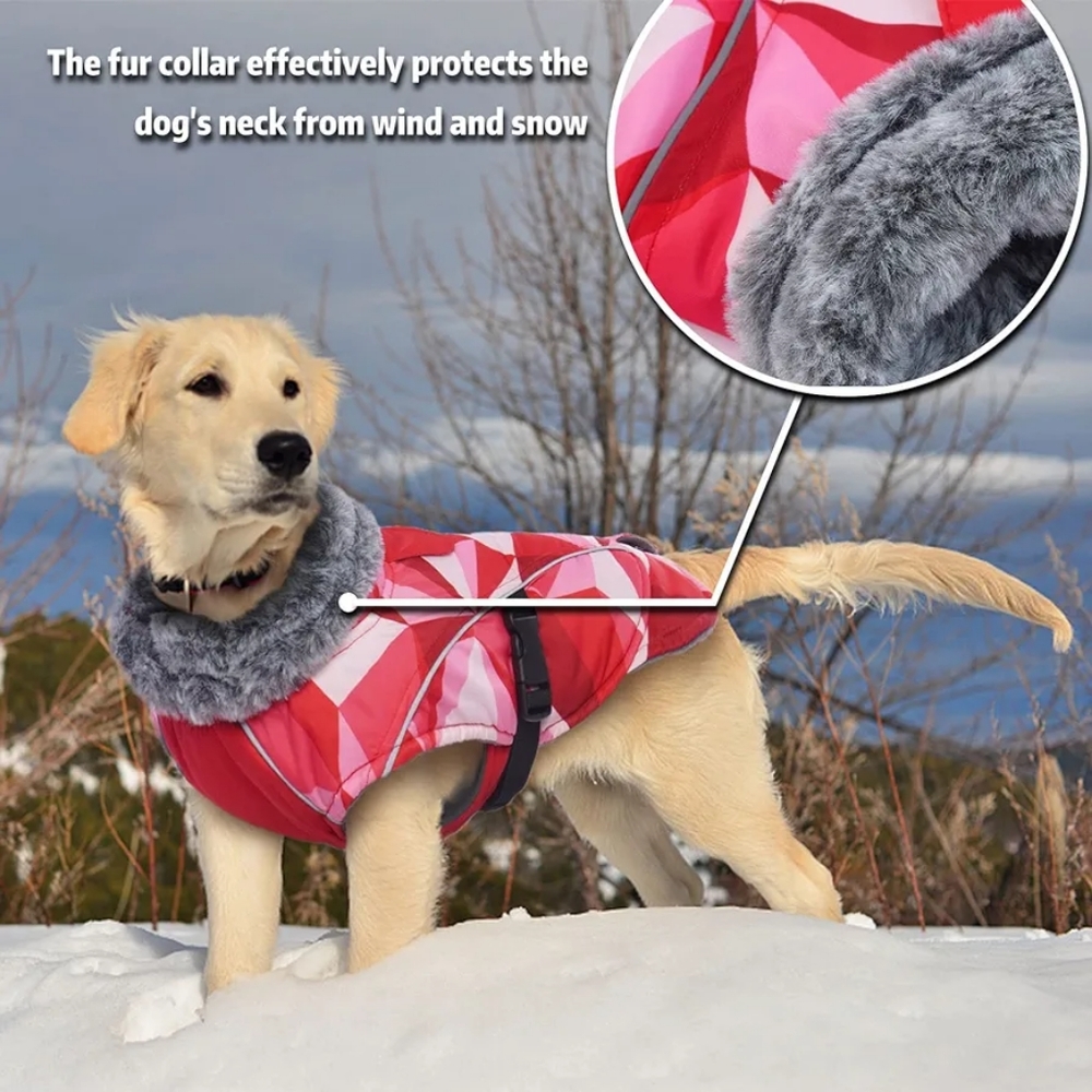 Dog Cold Weather Jacket - Picture 5 of 15